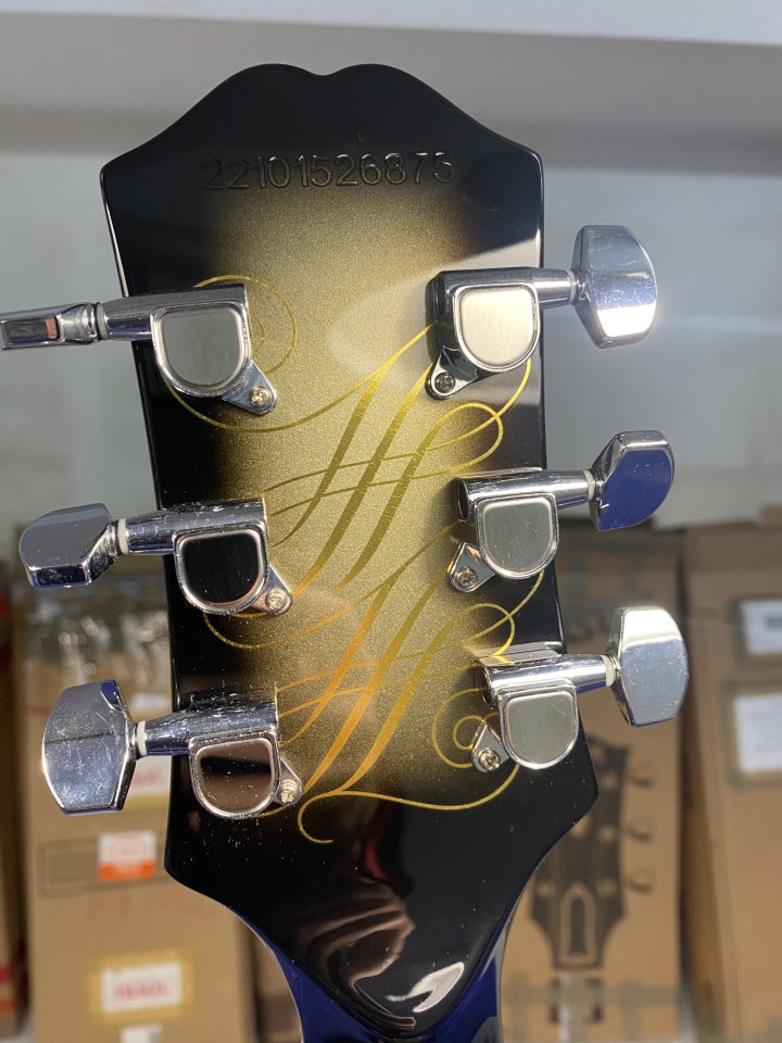 Guitarra epiphone adam jones ed limitada