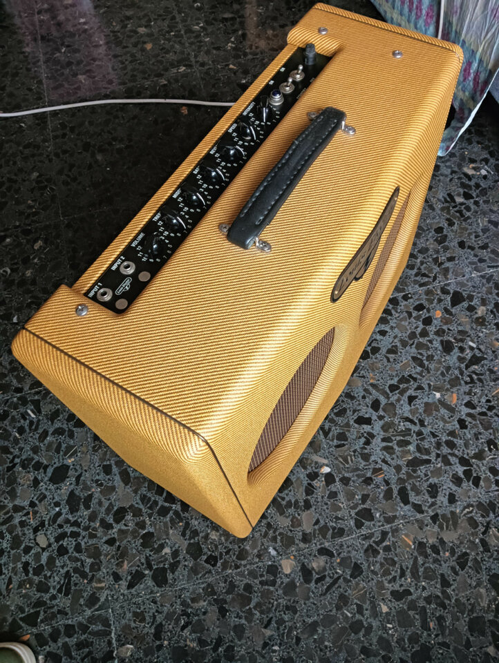 Louis Electric Gattone