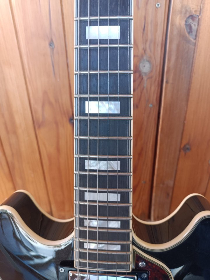 D'Angelico Premier MiniDC