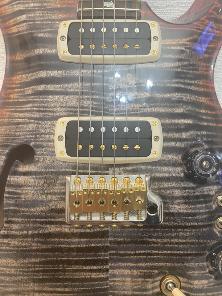 !Nueva PRS 24Custom 40Anniversary Semi-Hollow