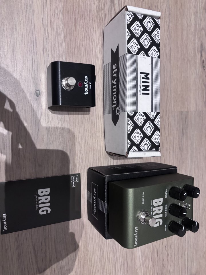 Strymon Brig delay + mini switch