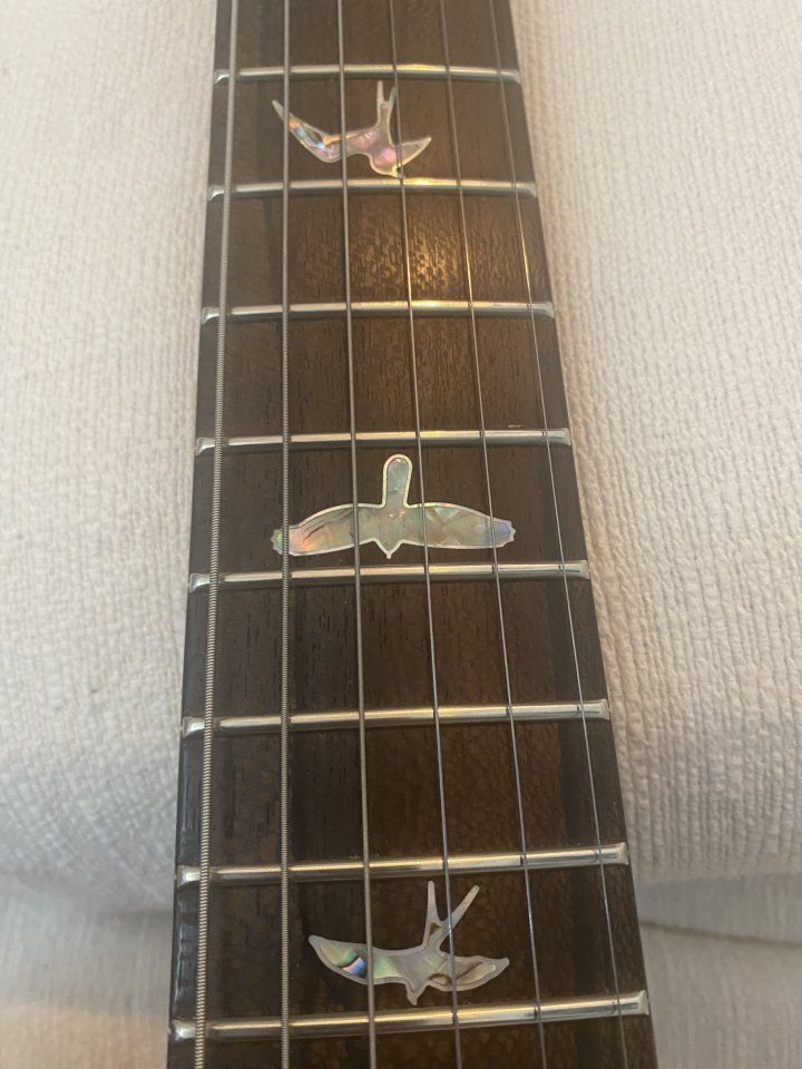 !Nueva PRS 24Custom 40Anniversary Semi-Hollow