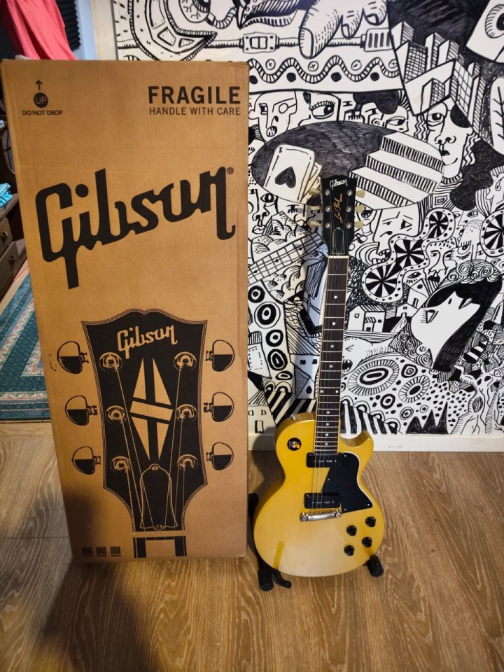 Gibson Les paul Special TV Yellow de segunda mano · Foto 1 de 10 · Alicante · 1200 €