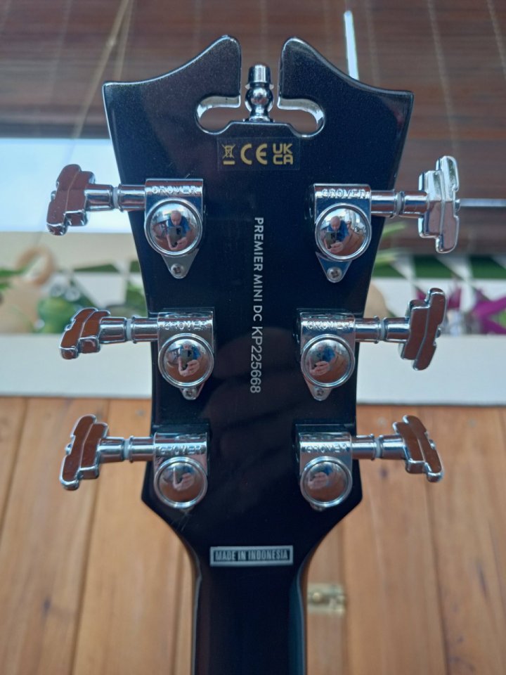 D'Angelico Premier MiniDC