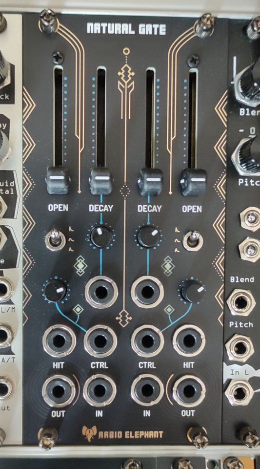 Rabid Elephant Natural Gate Eurorack de segunda mano · Foto 1 de 3 · Barcelona · 500 €