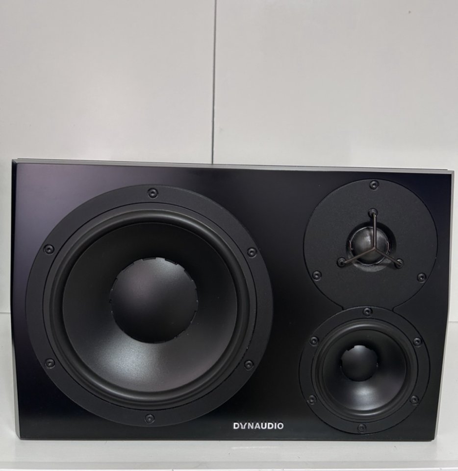DYNAUDIO LYD - 48 de segunda mano · Foto 3 de 10 · Zamora · 1500 €