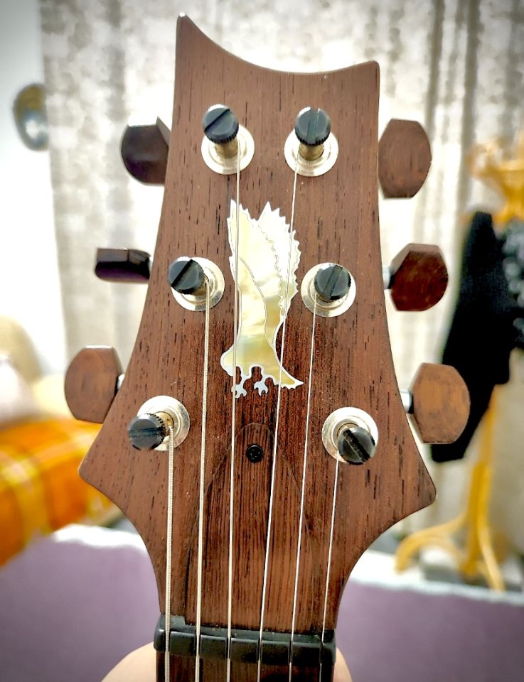 Prs Private y Library