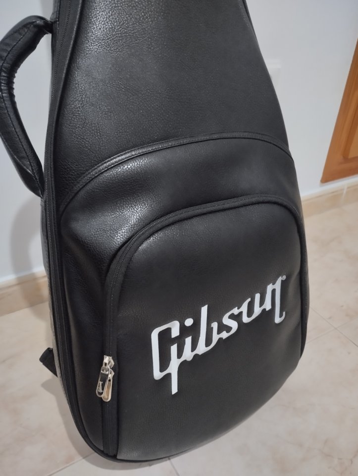 Estuche Gibson Premiun