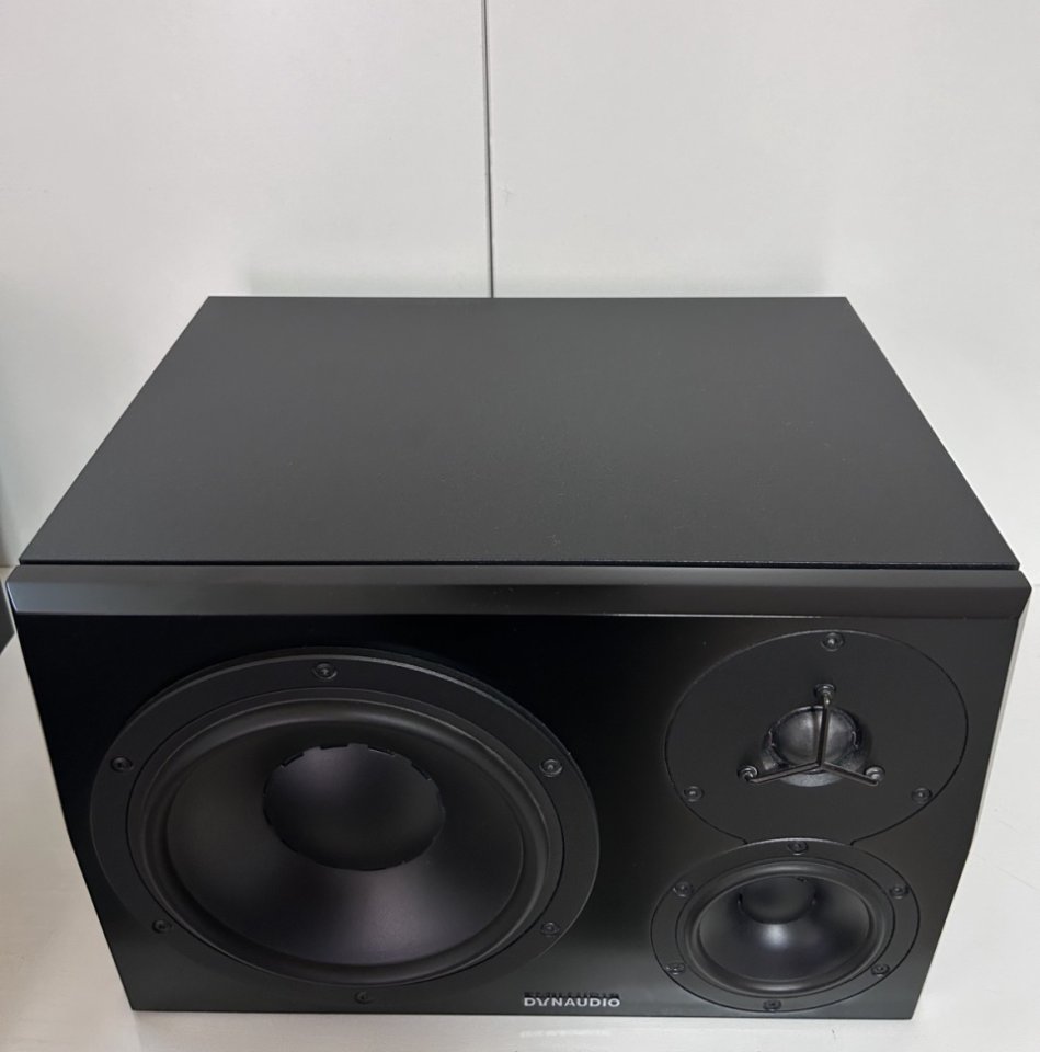 DYNAUDIO LYD - 48 de segunda mano · Foto 5 de 10 · Zamora · 1500 €