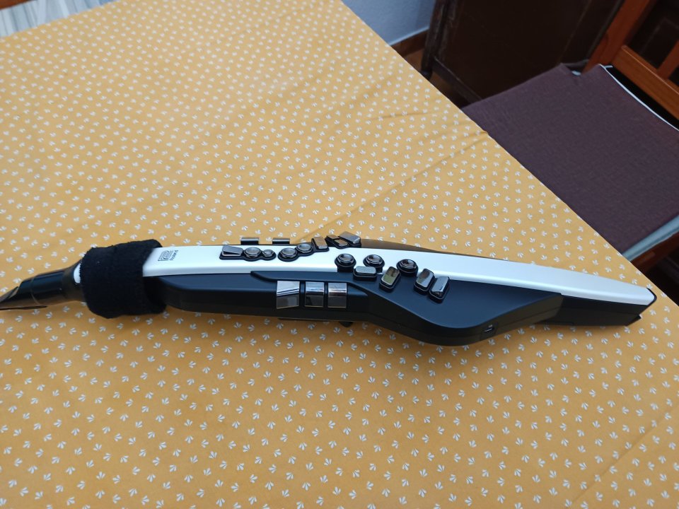 Roland AEROPHONE AE-20