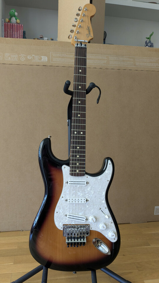 Fender Stratocaster Dave Murray Strat 2TSB