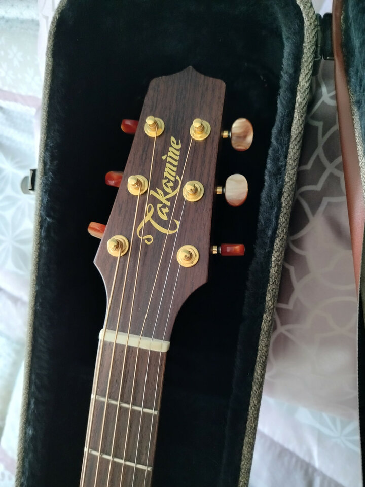 TAKAMINE EAN20cn
