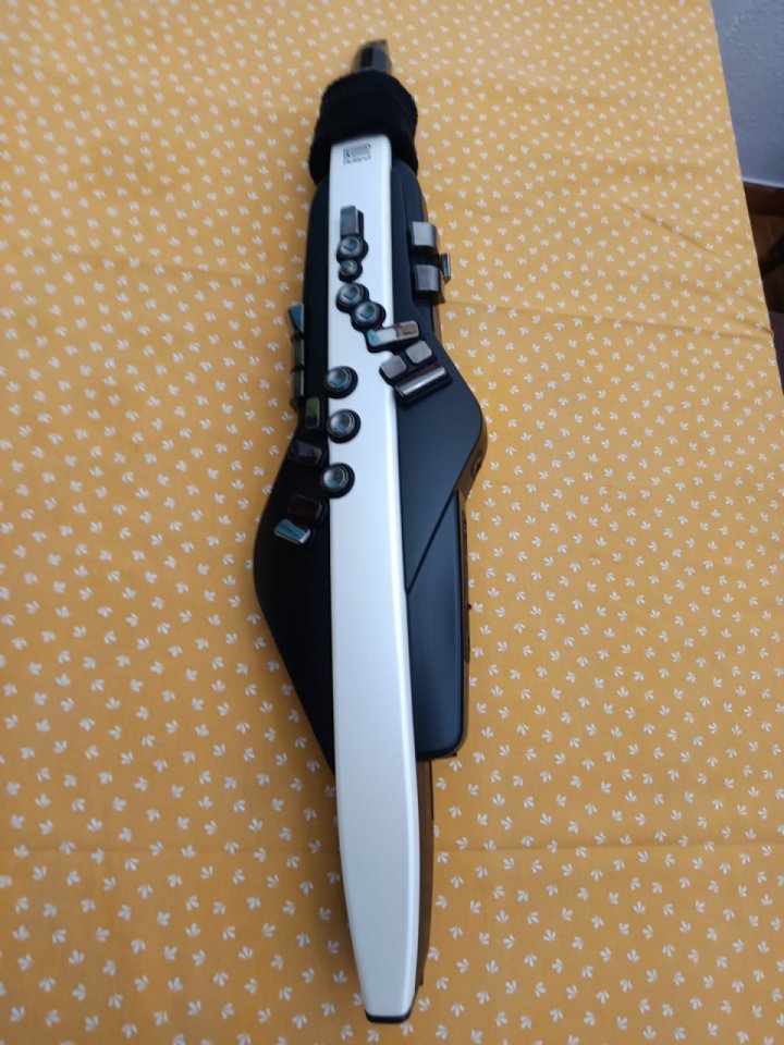 Roland AEROPHONE AE-20