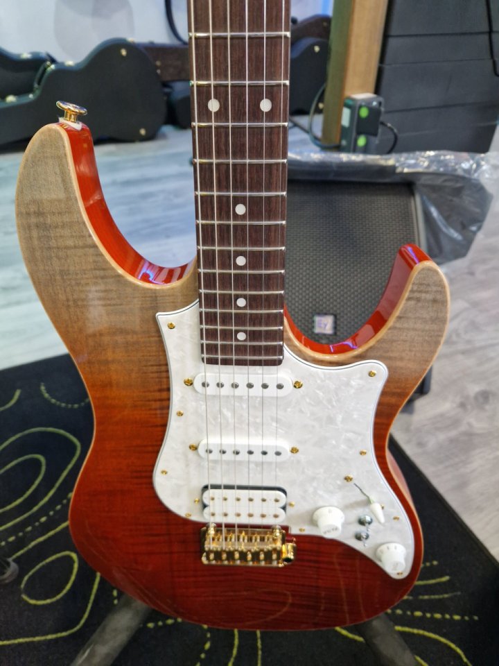 FGN expert odyssey ripe kaki