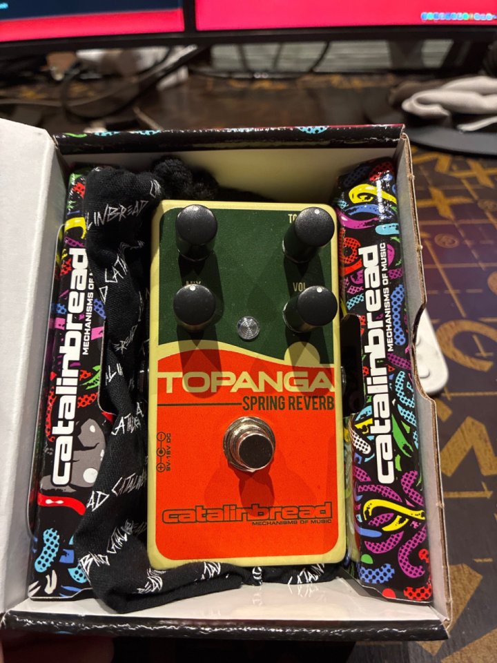 Catalinbread Topanga Spring Reverb de segunda mano · Foto 1 de 3 · Murcia · 180 €
