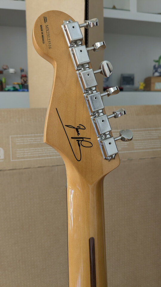 Fender Stratocaster Dave Murray Strat 2TSB