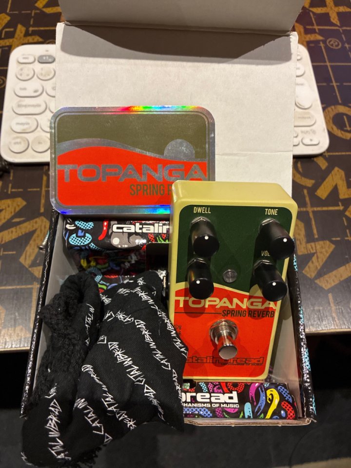 Catalinbread Topanga Spring Reverb de segunda mano · Foto 3 de 3 · Murcia · 180 €