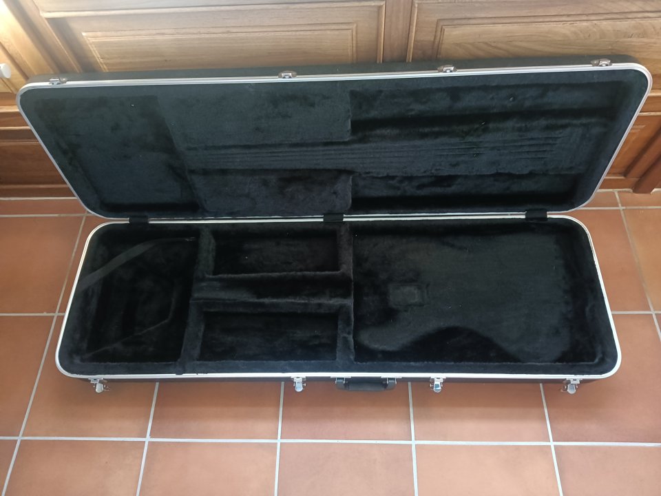 Funda rígida para bajo