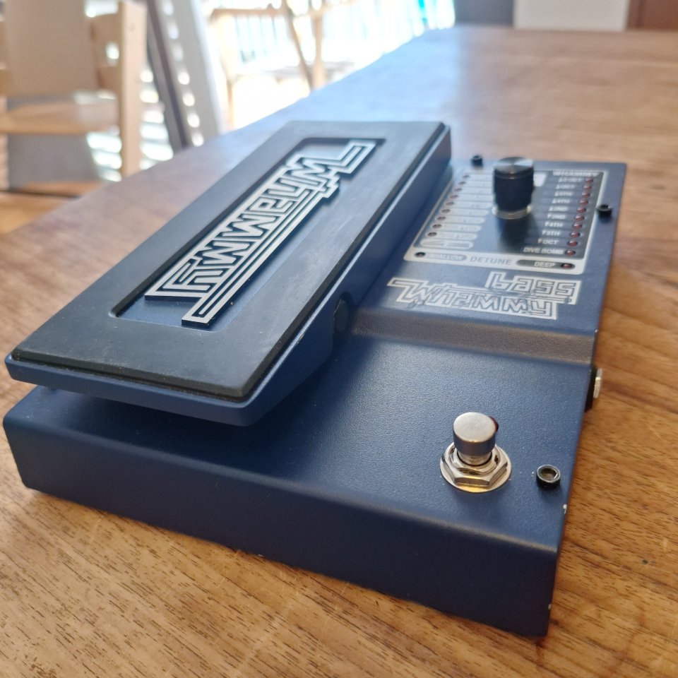 Whammy Bass (lo usaba con guitarra)