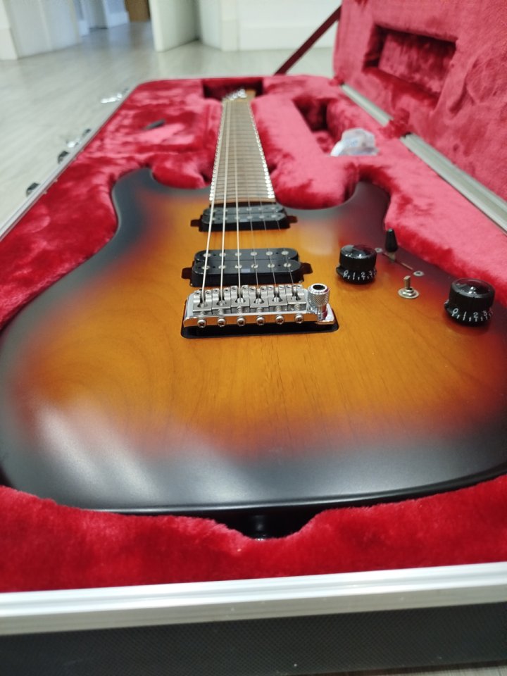 Gibson les paul standard/Gibson sg standard/Ibanez AZ2402 de segunda mano · Foto 8 de 8 · A Coruña · 3500 €