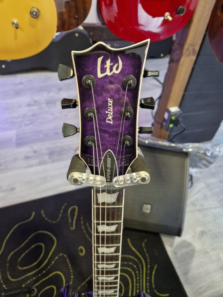 LTD Viper 1000 purple