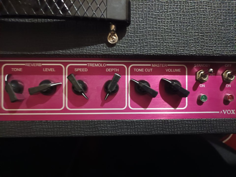 Vox AC30 C2 con flight case