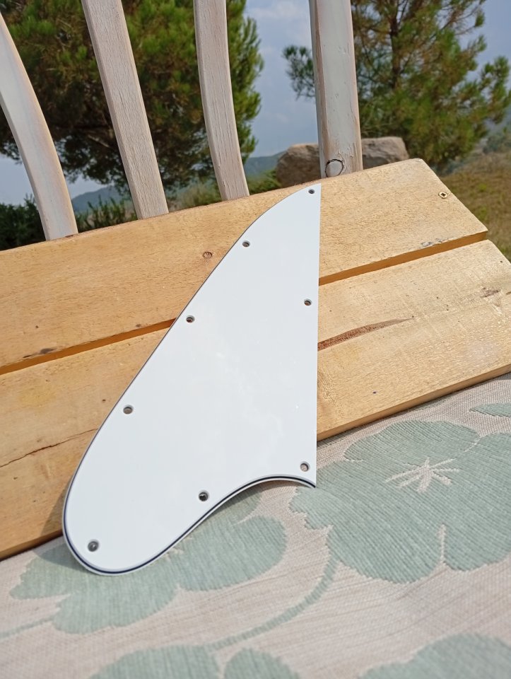 Vendo golpeador Firebird