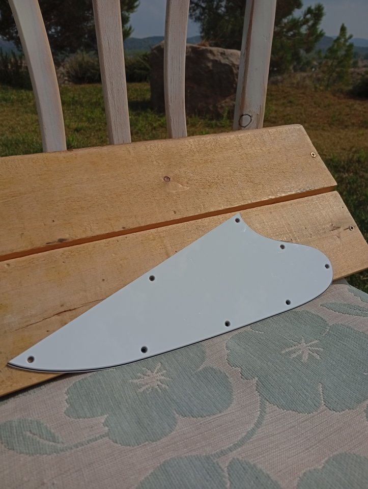 Vendo golpeador Firebird