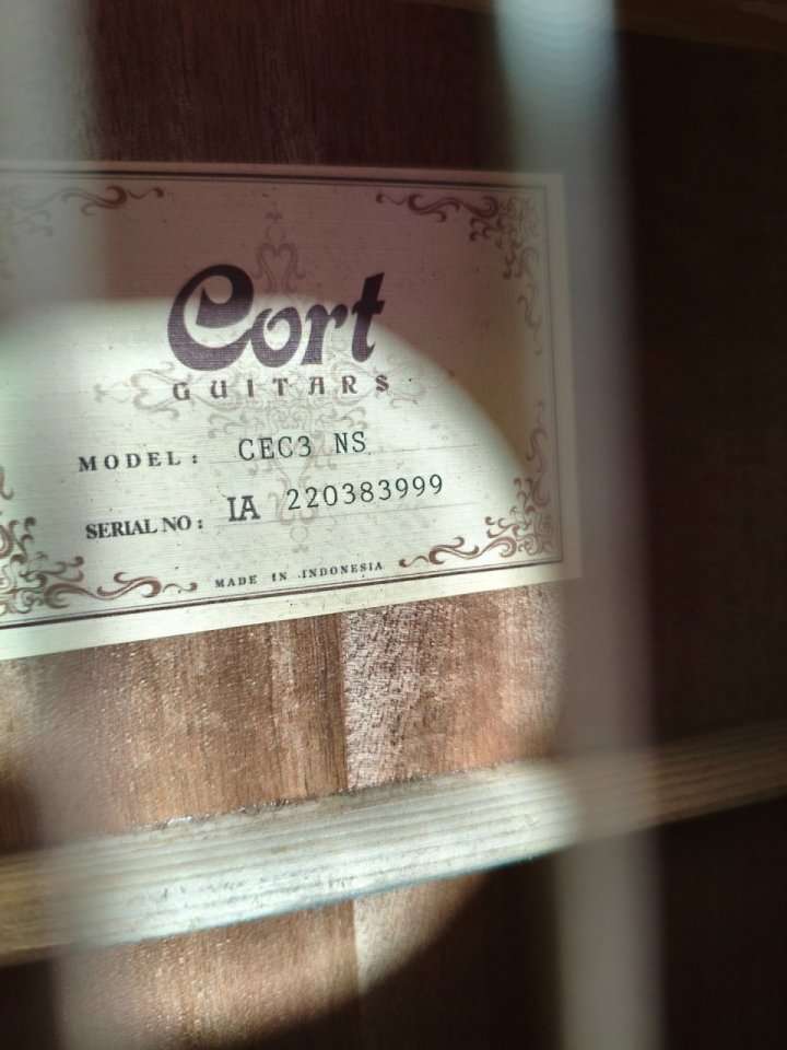 Cort CEC3 electro clásica