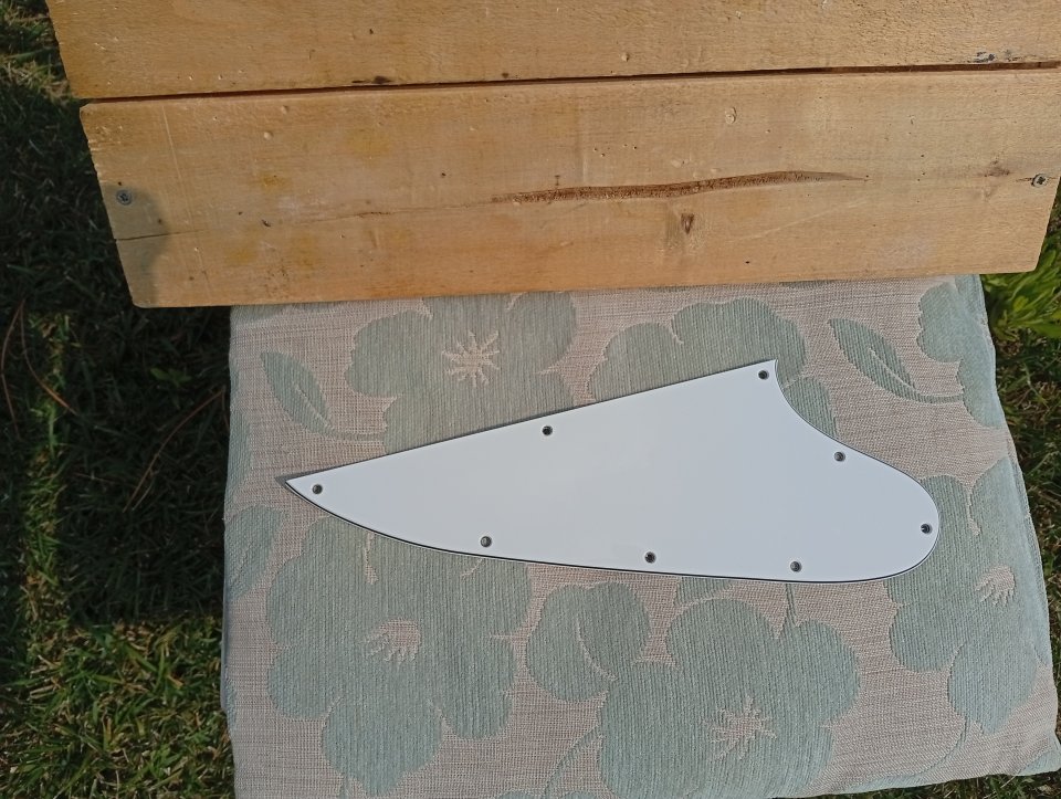 Vendo golpeador Firebird