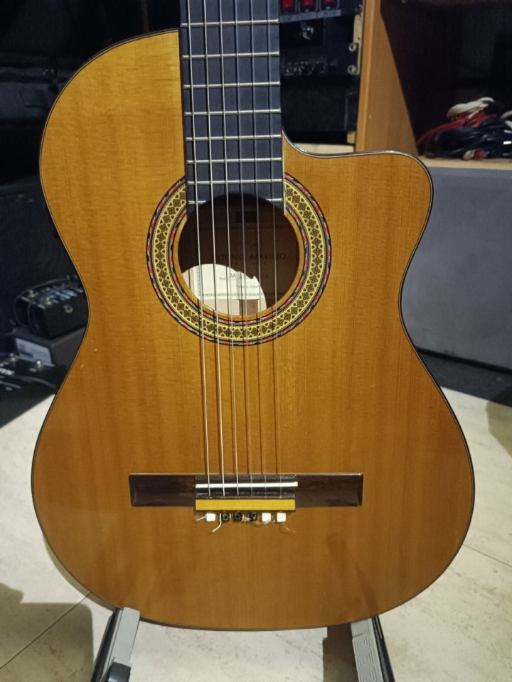 Flamenca estrecha Antonio Aparicio de segunda mano · Foto 5 de 8 · Tarragona · 500 €