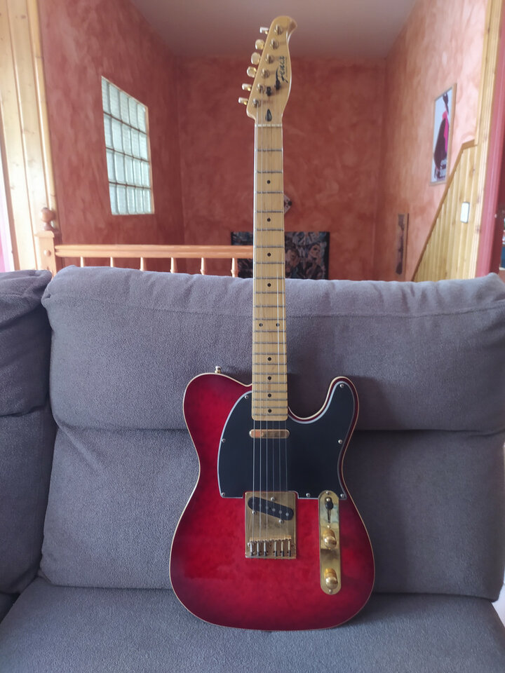 Fenix Telecaster Custom