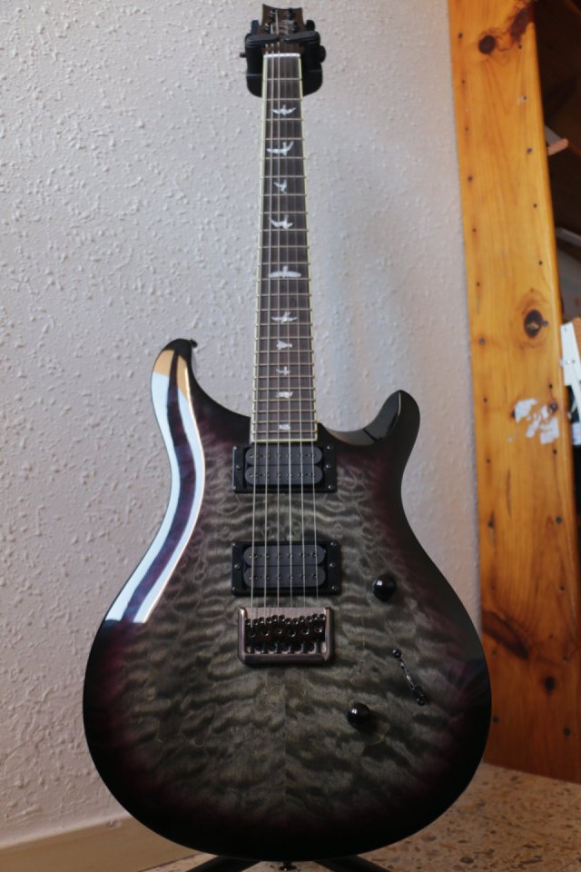 PRS SE Mark Holcomb -