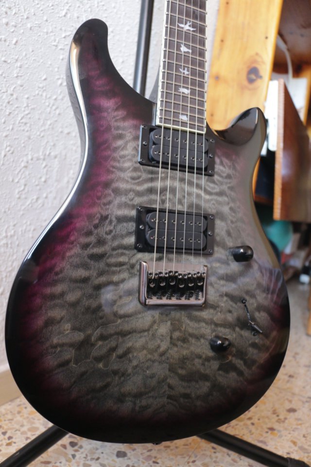 PRS SE Mark Holcomb -