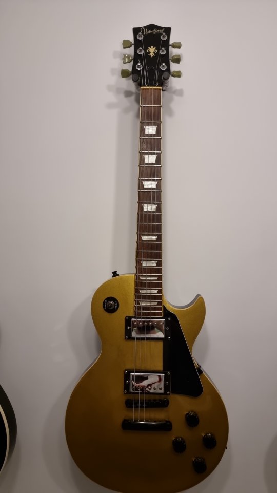Westone XL 10 Custom Goldtop