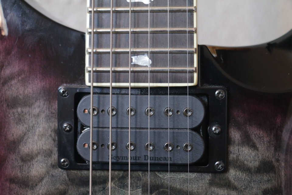 PRS SE Mark Holcomb -