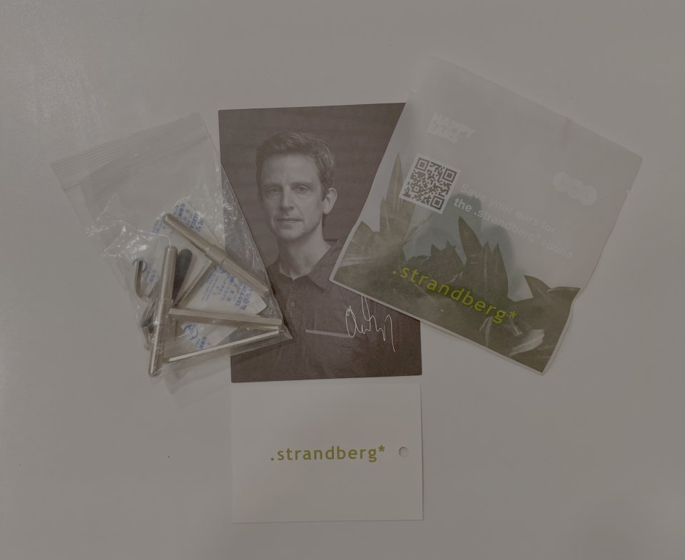 Guitarra Strandberg Boden Essential 6 Astro Dust