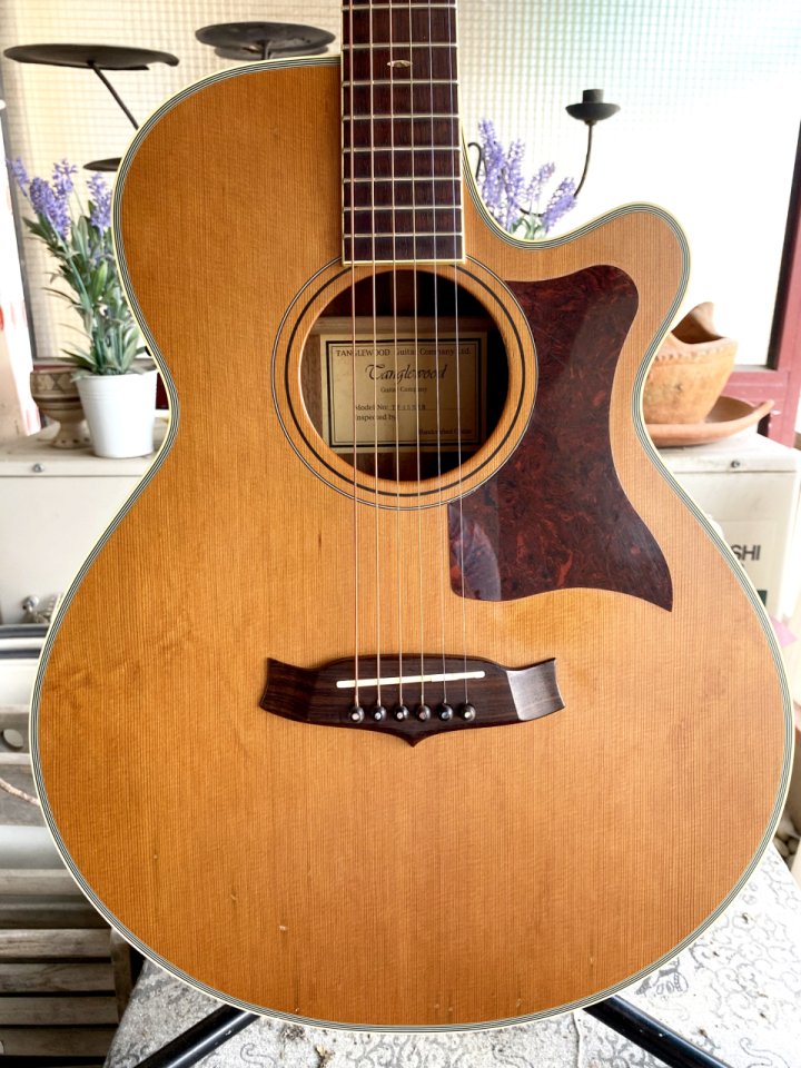 Tanglewood TW45 Sundance de segunda mano · Foto 1 de 10 · Barcelona · 550 €
