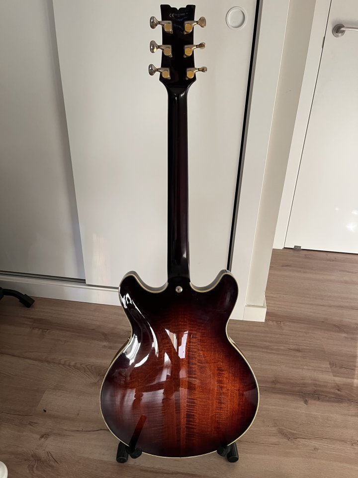 Ibanez JSM100