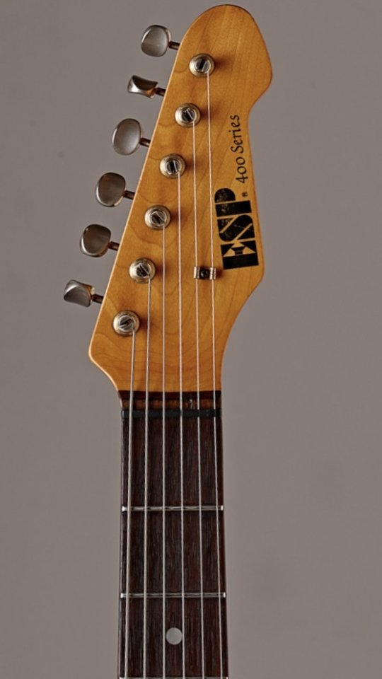 Busco ESP 400 Series