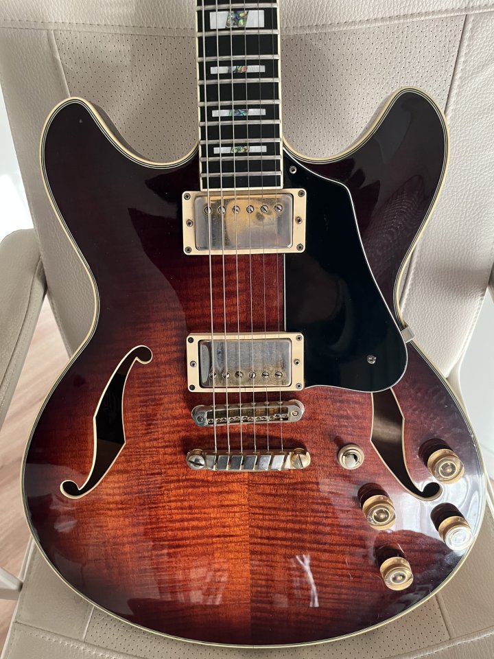 Ibanez JSM100
