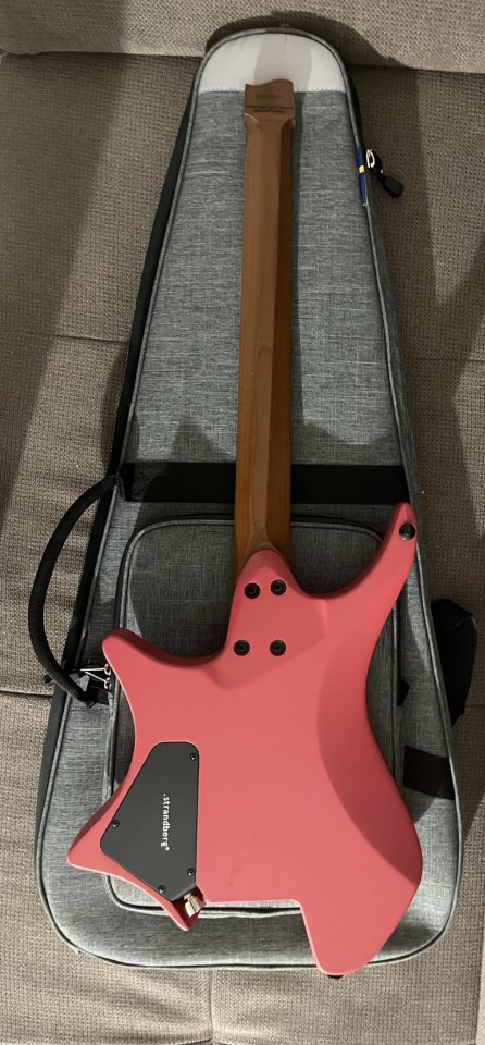 Guitarra Strandberg Boden Essential 6 Astro Dust