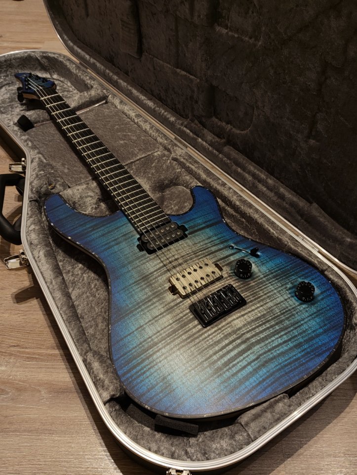 Mayones Regius Venta/Cambio (última rebaja y upgrade) de segunda mano · Foto 2 de 10 · Valencia · 2490 €