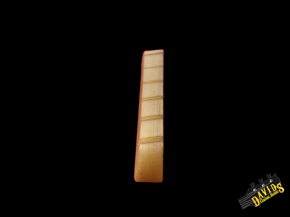 Cejuela de Hueso de Camello  Gibson LP SG