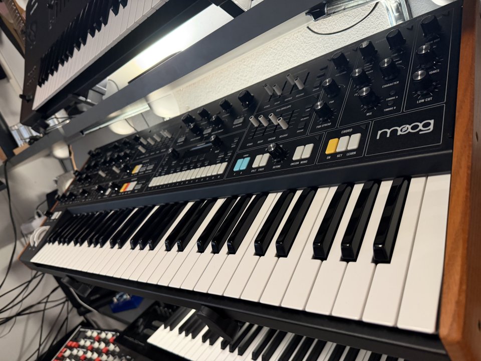 Moog Muse Impecable de segunda mano · Tarragona · 2700 €