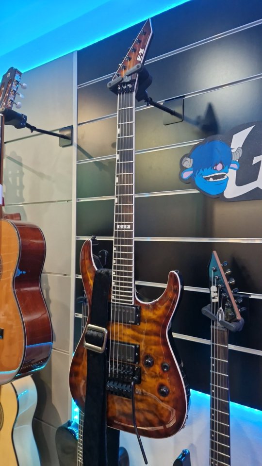 Esp EII horizon TESB de segunda mano · Foto 3 de 6 · Navarra · 2199 €