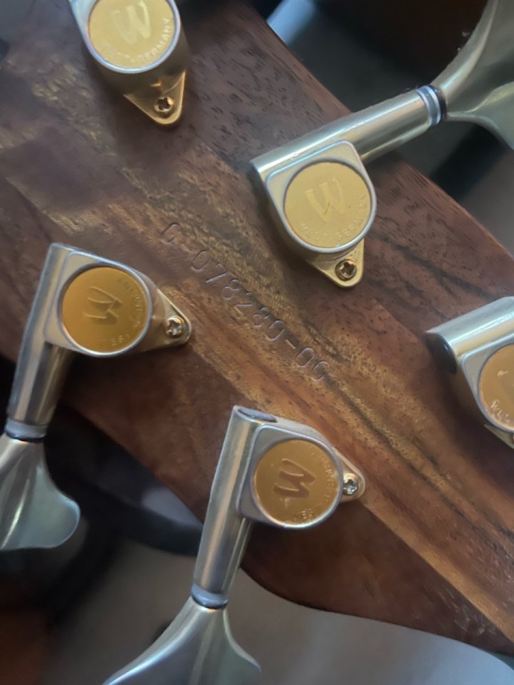 Bajo eléctrico WARWICK FNA JAZZMAN 5 cuerdas