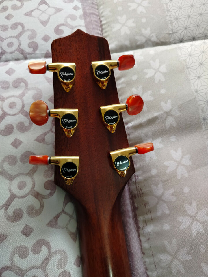 TAKAMINE EAN20cn de segunda mano · Foto 5 de 10 · Murcia · 490 €