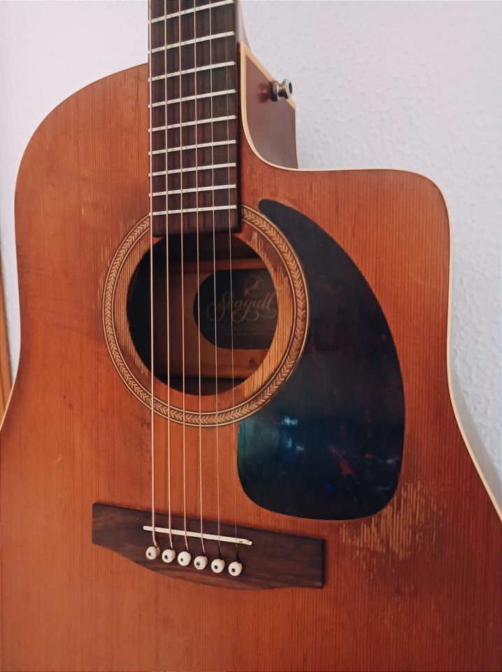 S6 / CW Seagull Electroacustica de segunda mano · Foto 2 de 7 · Cádiz · 300 €