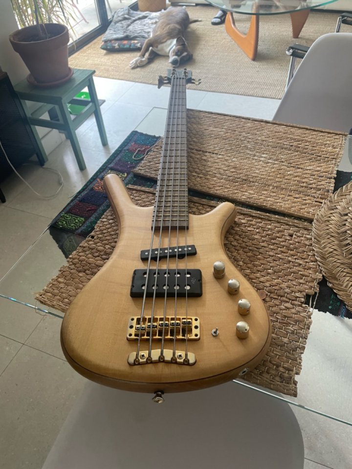 Bajo eléctrico WARWICK FNA JAZZMAN 5 cuerdas
